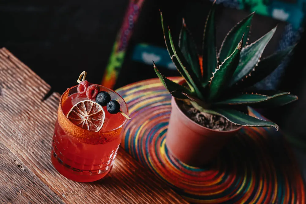 Cóctel y agave María Mezcal