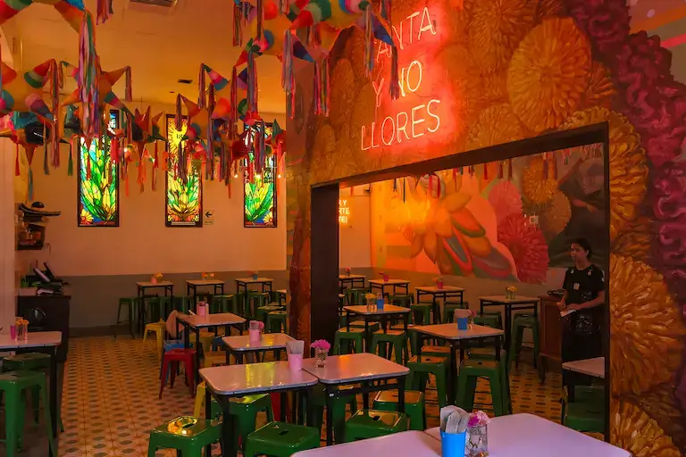 Casona | María Mezcal