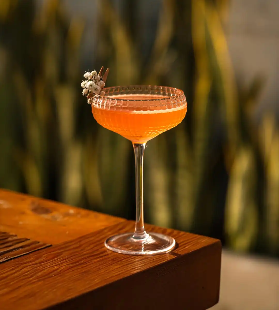 Barra | María Mezcal