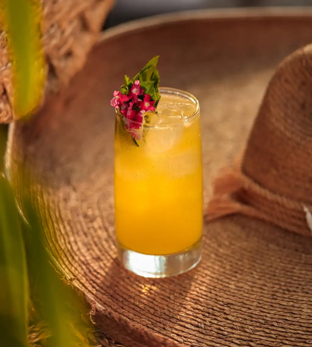 Barra | María Mezcal